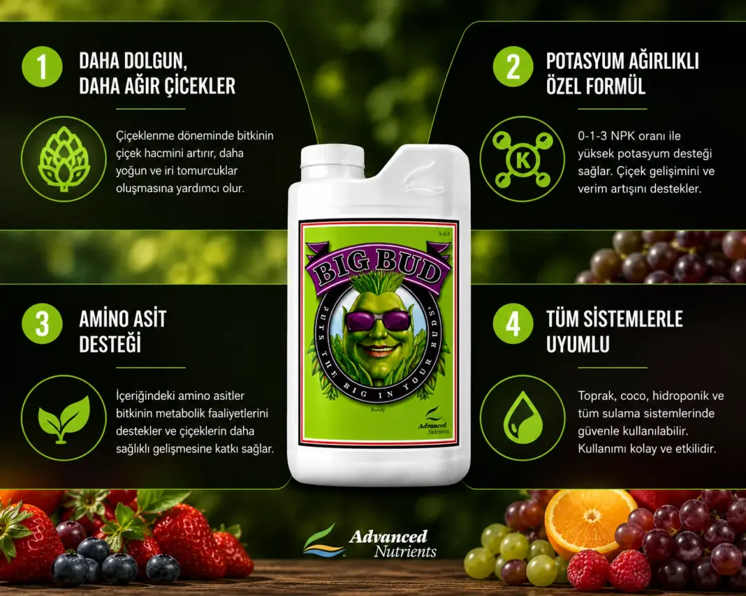 advanced nutrients big bud ne işe yarar