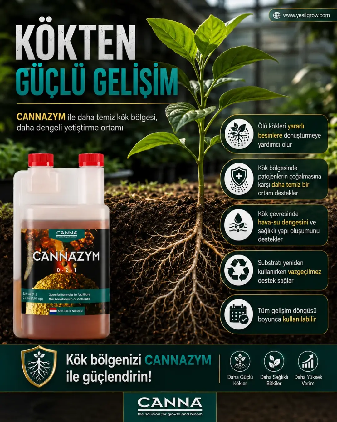 cannazym ne işe yarar