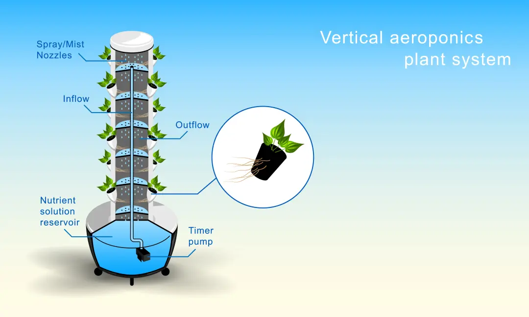 Vertical aeroponics bitki sistemi şeması. Besin çözeltisi alt kısımdaki tankta depolanır, zaman ayarlı pompa ile yukarıya gönderilir ve nozüller aracılığıyla köklere ince sis/mist halinde püskürtülür. Bitkiler köklerini havada asılı şekilde besin çözeltisinden alır, fazla sıvı yeniden depoya geri döner