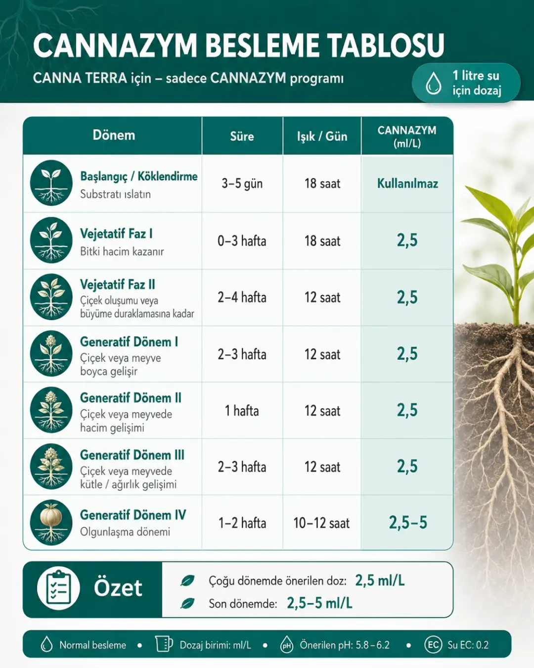 cannazym nasıl kullanılır