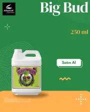 Big