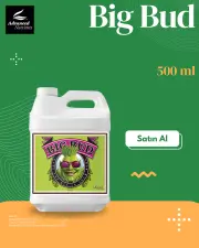 Big