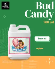 Bud Candy 500 ML