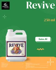 Revive