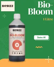 Bio