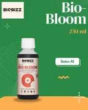 Bio