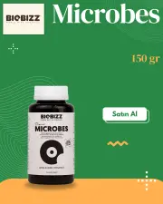 Microbes