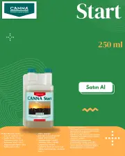 Start 250 mL