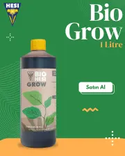 Bio