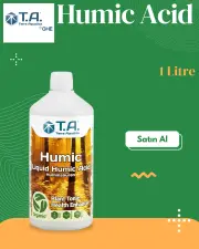T.A