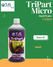 T.A