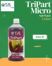 T.A
