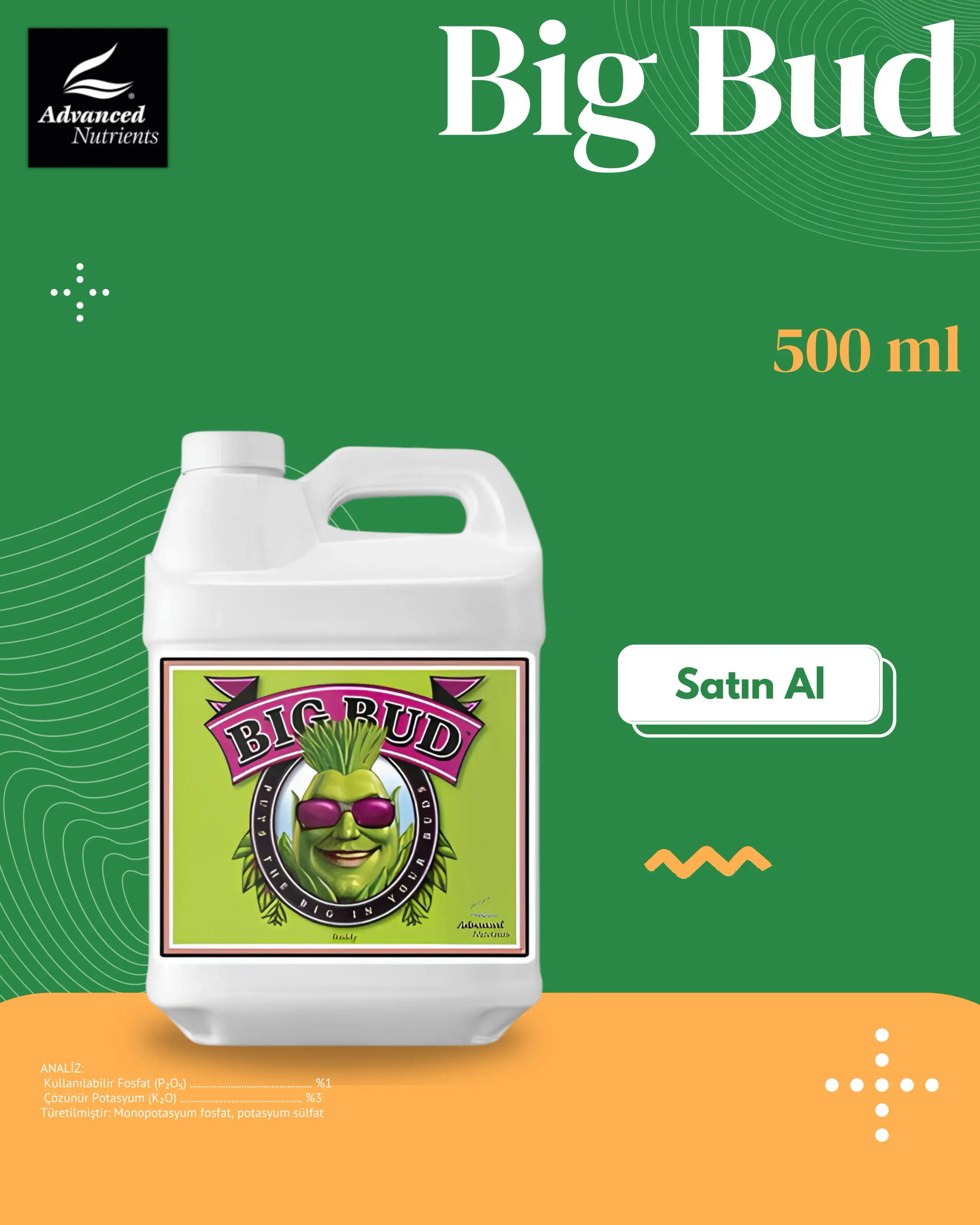 Big Bud 500 ML