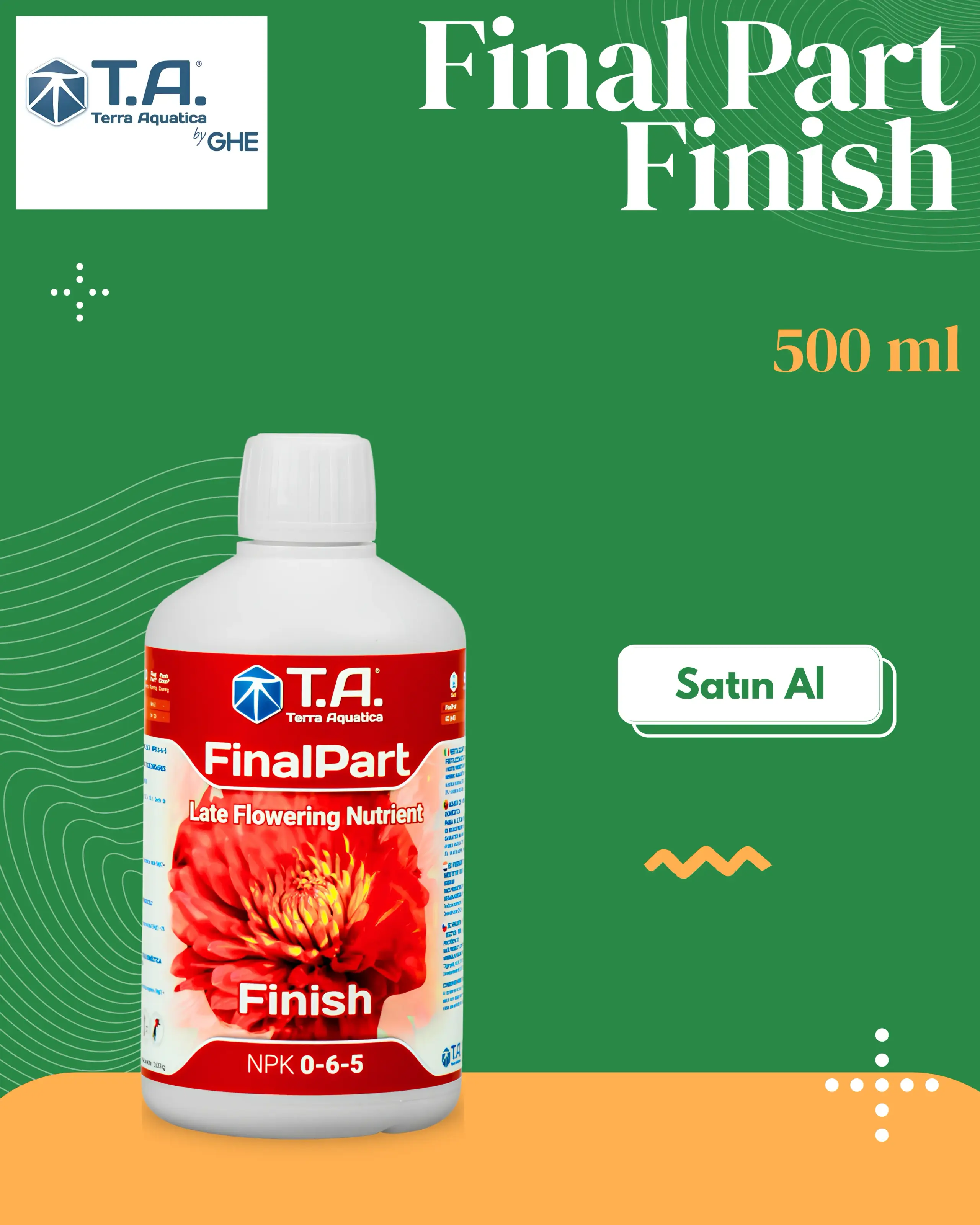 T.A (GHE) - Final Part Finish (Ripen)