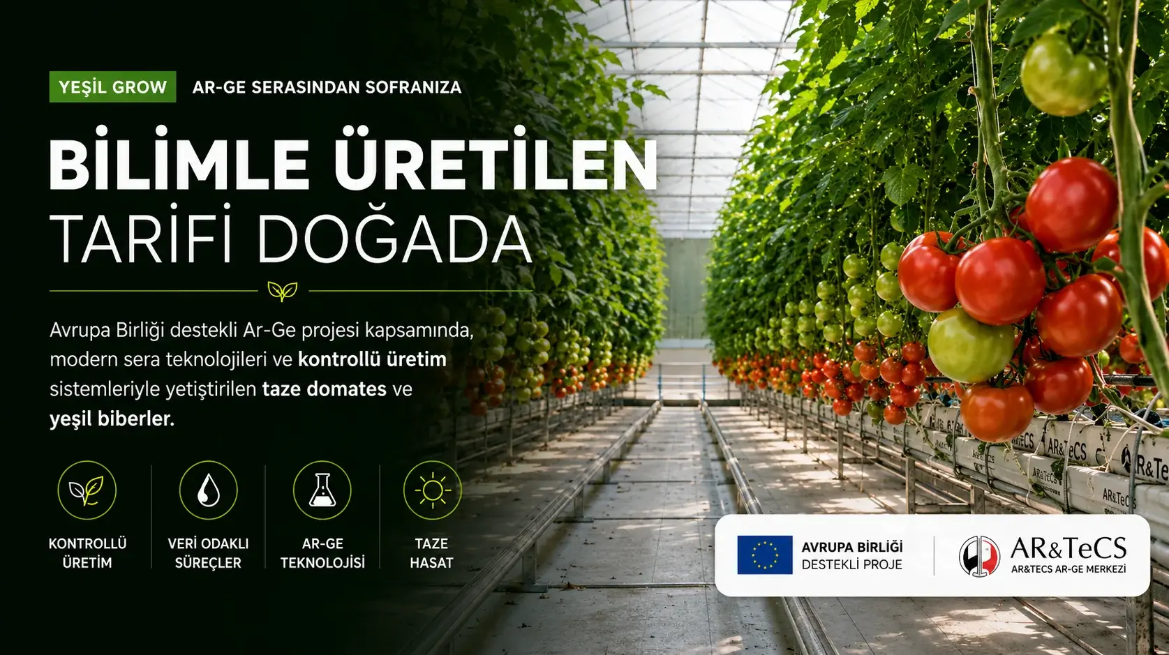 Yeşil Grow from the R&D greenhouse to your table: fresh tomatoes and green peppers grown in a controlled greenhouse, an EU-funded R&D project (AR&TeCS)